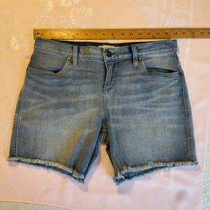 Carve Designs Maui Cut-off Denim Shorts Size 4